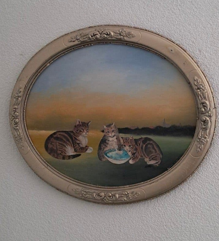 hangeschilderd katten schilderij, Ophalen of Verzenden