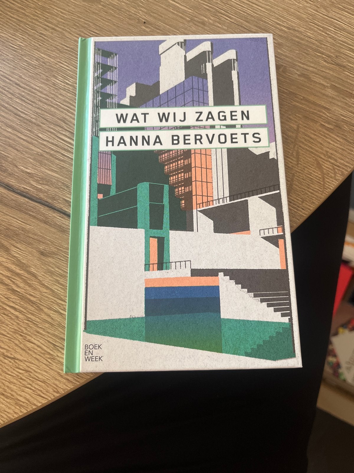 Wat Wij Zagen - Hanna Bervoets (Boekenweekgeschenk), Boeken, Ophalen of Verzenden, Zo goed als nieuw, Nederland