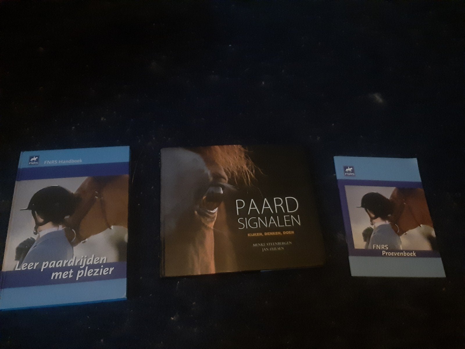 Paarden boeken, Ophalen of Verzenden, Zo goed als nieuw, Paarden of Pony's