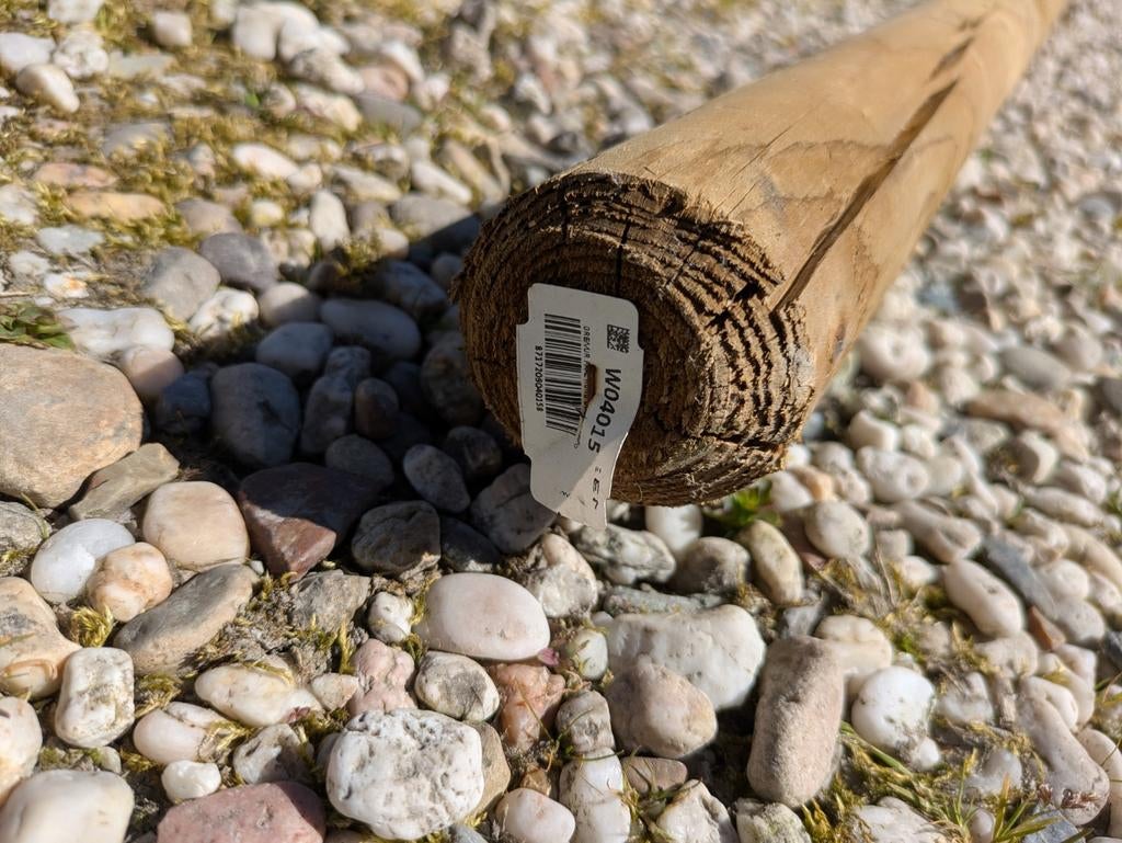 Boompaal gratis af te halen, Tuin en Terras, Palen, Balken en Planken, Gebruikt, Palen, 250 cm of meer, Ophalen of Verzenden