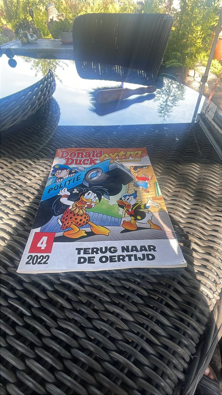 Prachtig Schilderij van de Onlanden, Ophalen