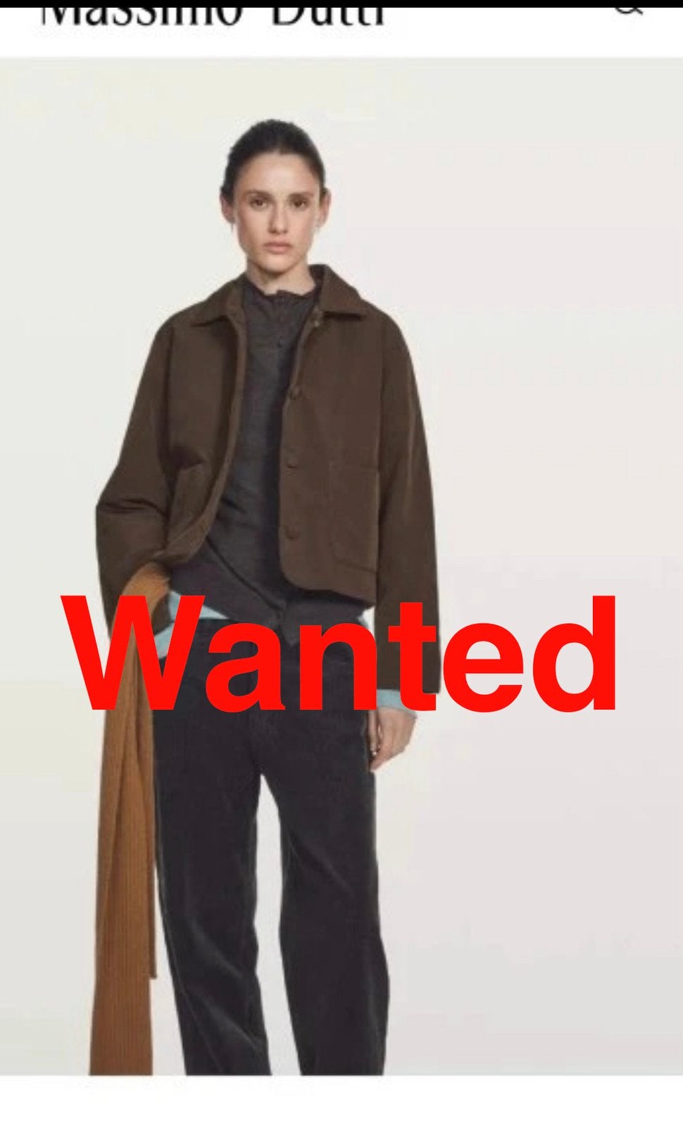 GEZOCHT: Massimo Dutti jas M, Ophalen, Zo goed als nieuw, Maat 38/40 (M), Bruin