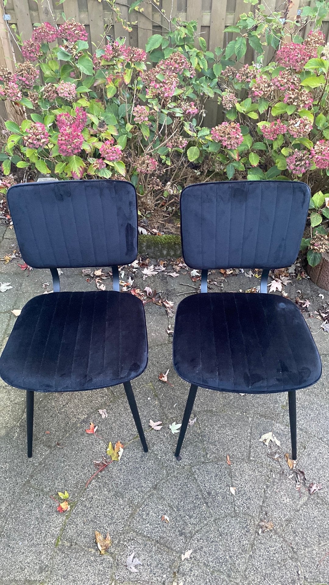 Zwarte stoelen, Ophalen, Gebruikt, Twee, Zwart