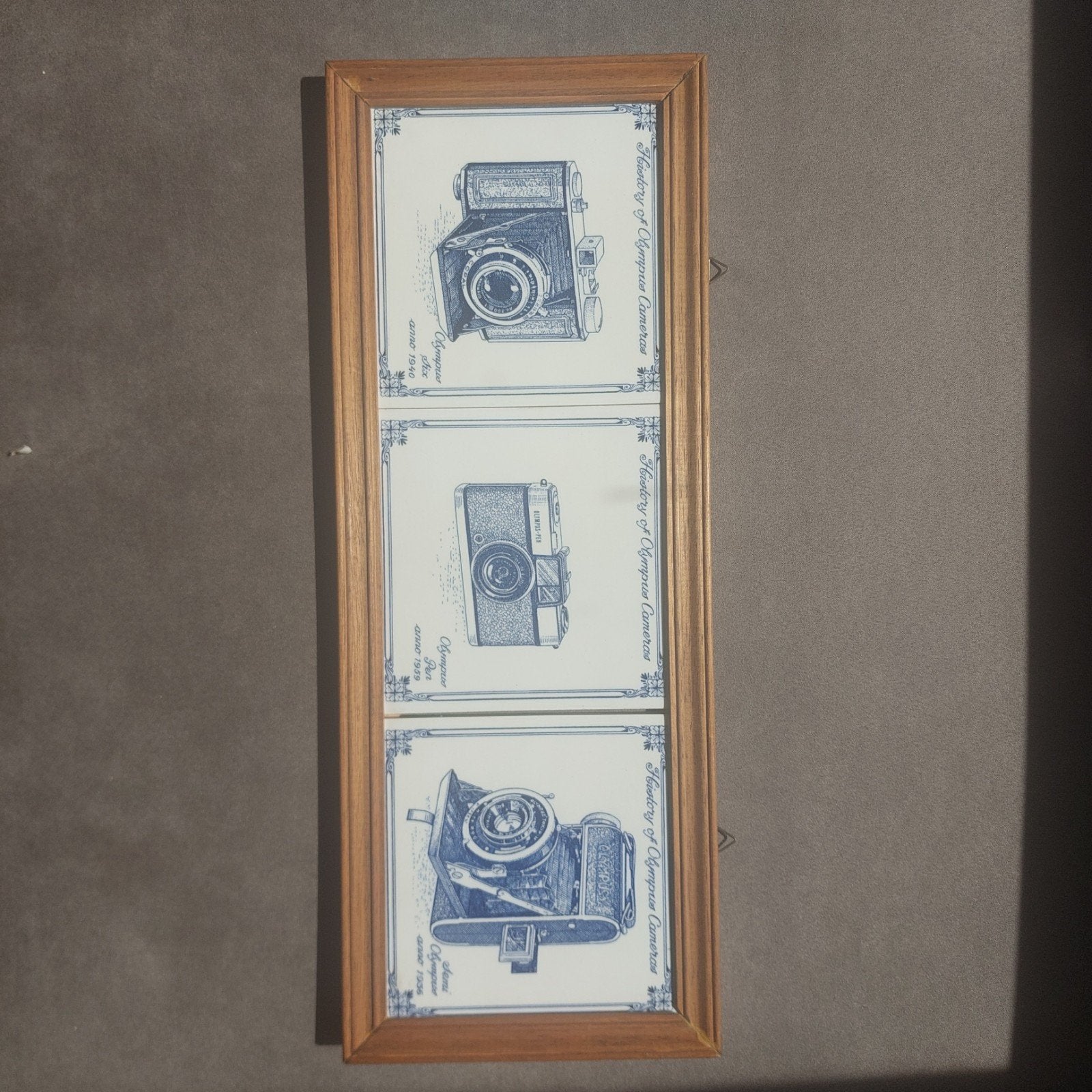 olympus cameras, Ophalen of Verzenden