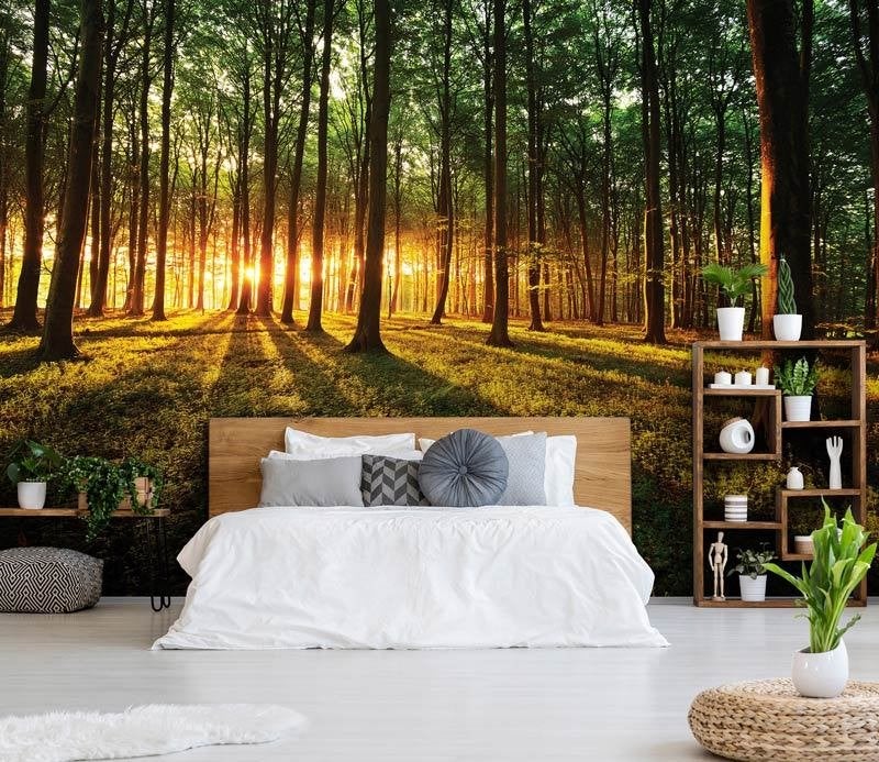 Fotobehang / Behang - Natuur - Zonsondergang - Bos Zonlicht, Overige patronen, Natuurlijk, Info@fotobehangkoning.nl, Fotobehang