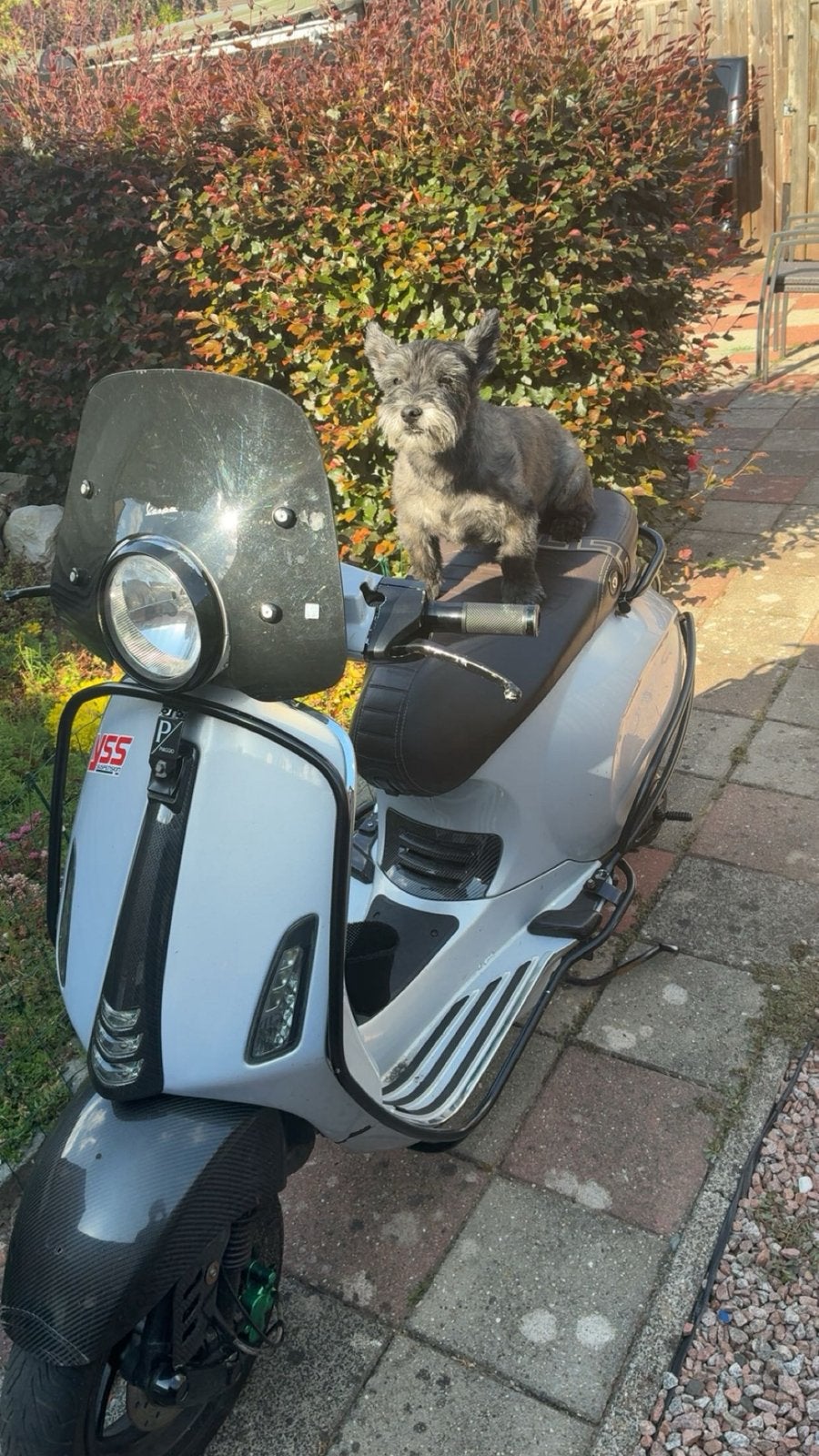 Vespa primavera, Ophalen, Zo goed als nieuw, Benzine, Overige modellen