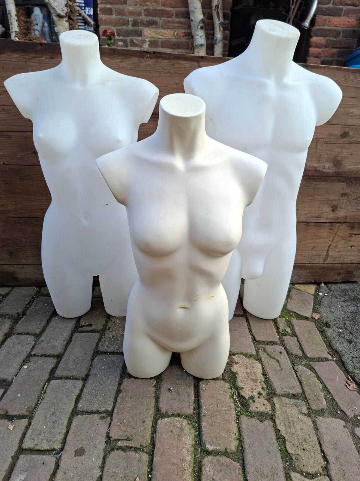 Torso, man, vrouw. Beige, transparant, of zwart, Ophalen, Gebruikt, Paspop