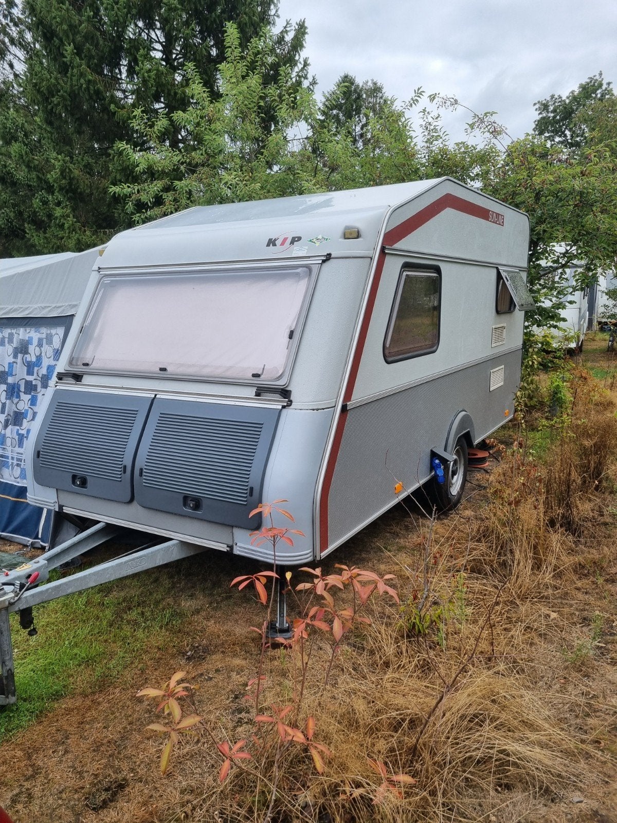Kip Greyline KS41 inclusief stalling, Rondzit, Kip, Tot en met 2, 750 - 1000 kg