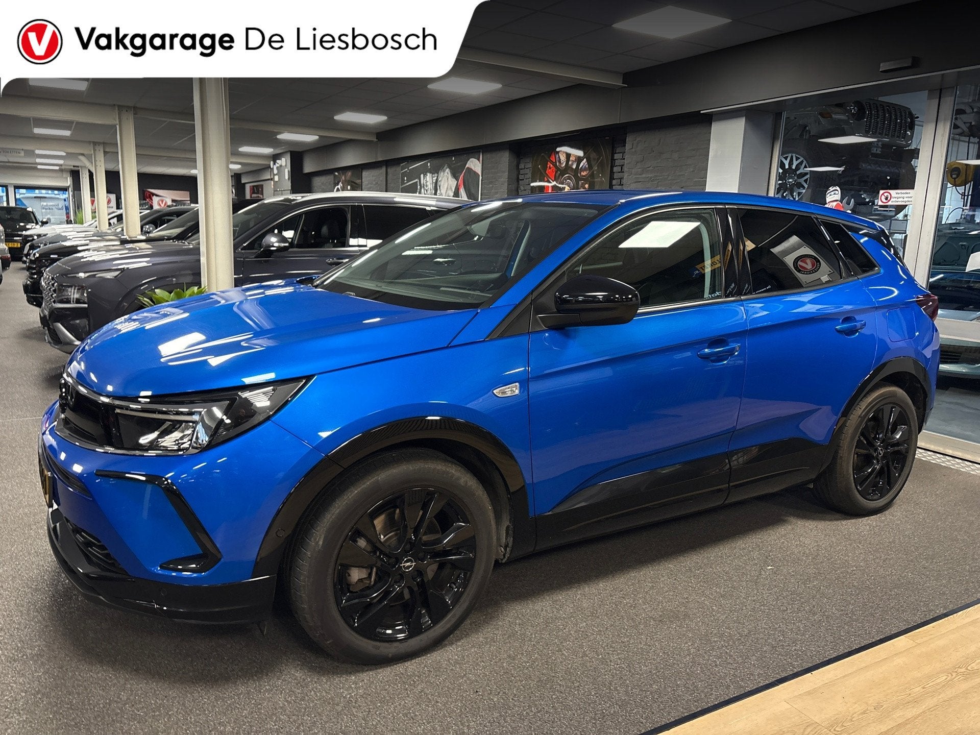 Opel GRANDLAND 1.6 Turbo Plug-In Hybrid GS Line / 225pk / st, Auto's, Opel, 4 cilinders, Blauw, Alcantara, Bedrijf