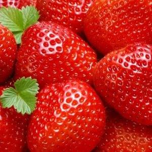 Aardbeienplanten, Tuin en Terras, Planten | Tuinplanten, Volle zon, Vaste plant, Ophalen of Verzenden, Zomer