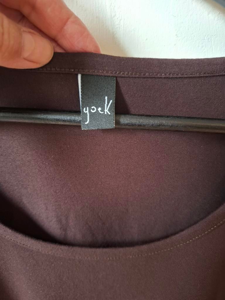 Yoek donkerbruine viscosemix top maat XXL/54/56, Kleding | Dames, Grote Maten, Yoek, Bruin, Yoek, Zo goed als nieuw