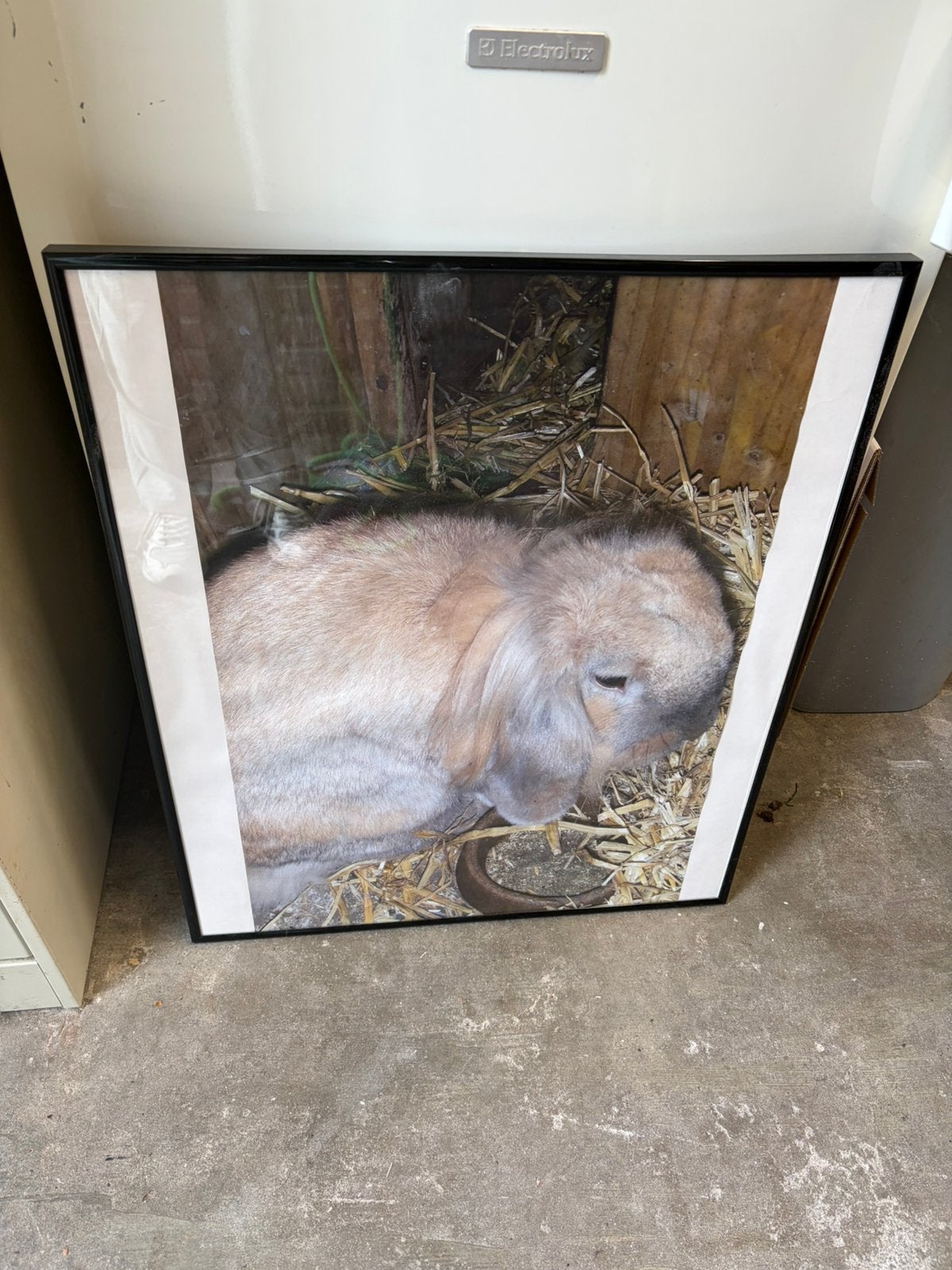 Fotolijst 50x60 cm, Huis en Inrichting, Ophalen, Zo goed als nieuw, Fotolijst