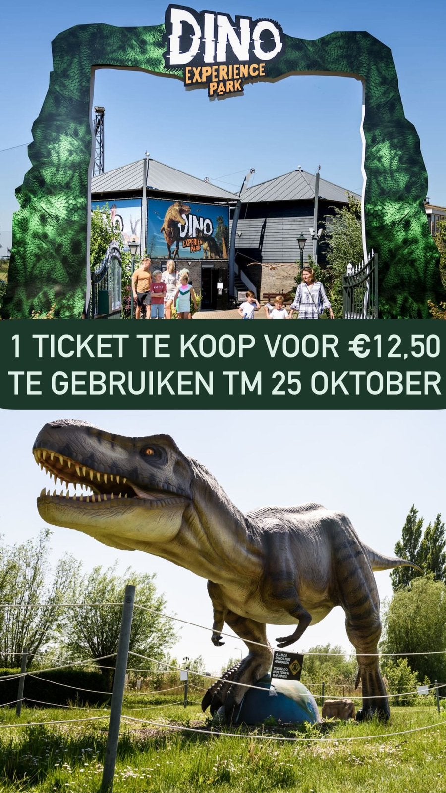 Dino Experience ticket, Eén persoon, Ticket of Toegangskaart