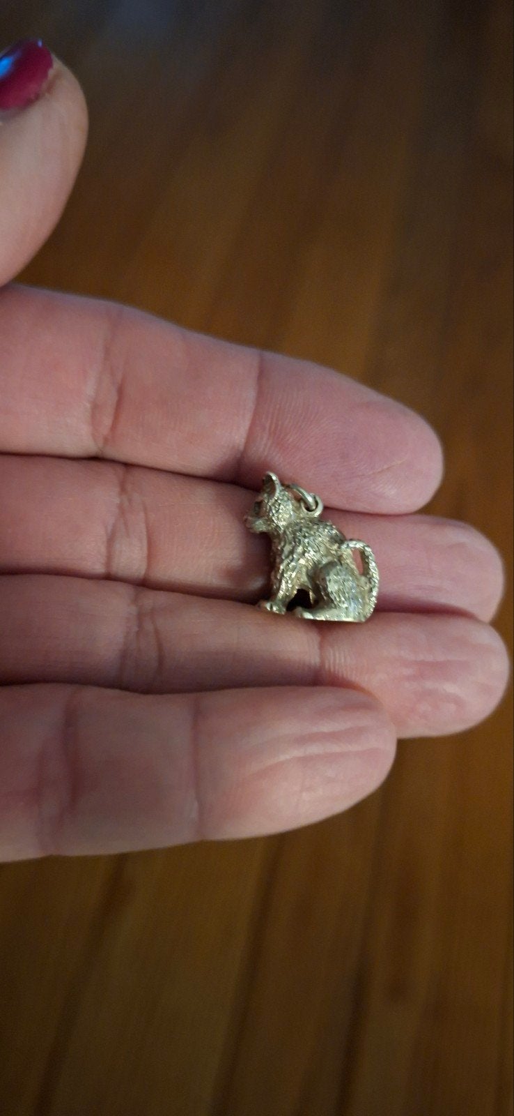 Zilveren Kat Hanger - Gedetailleerd en Charmant, Ophalen of Verzenden, Zo goed als nieuw, Zilver, Dier