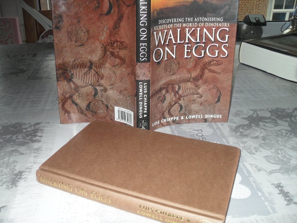 BOEK LOWELL DINGUS-WALKING ON EGGS., Gelezen, Ophalen of Verzenden, Lowell Dingus., Los deel