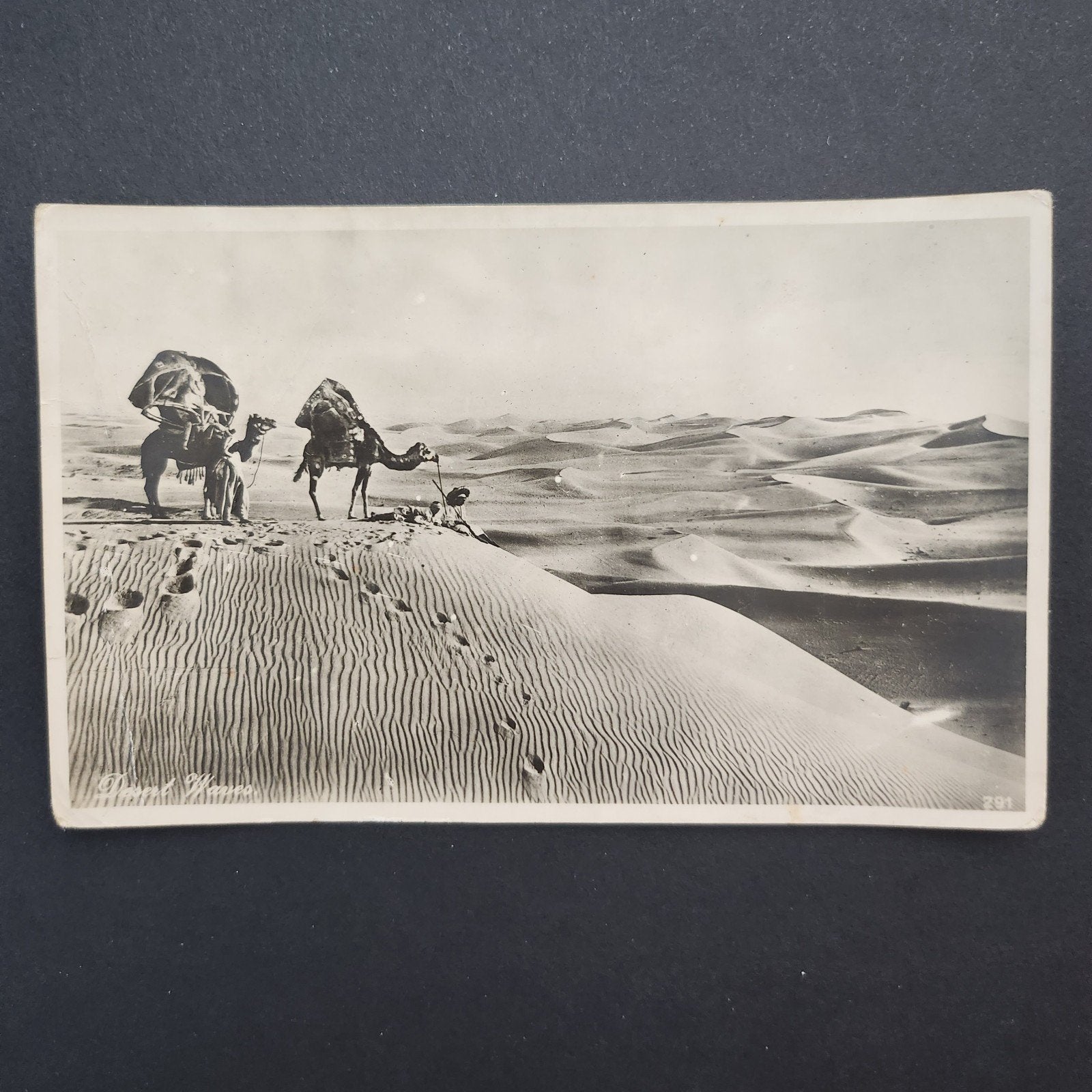 Oude Ansichtkaart: Kamelen in de Woestijn, Egypte (ca. 1920), Verzenden, 1920 tot 1940, Gelopen, Natuur