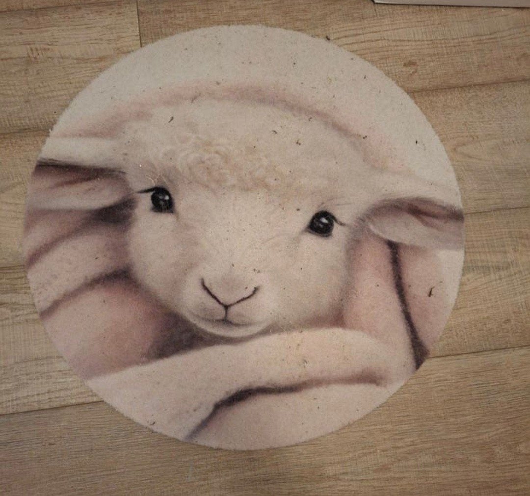 Schapen kleed en schilderij babykamer, Ophalen, Gebruikt