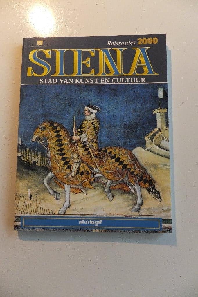 Italië Siena boek bezienswaardigheden gebouw toren kerk, Ophalen of Verzenden, Zo goed als nieuw, Architectuur algemeen