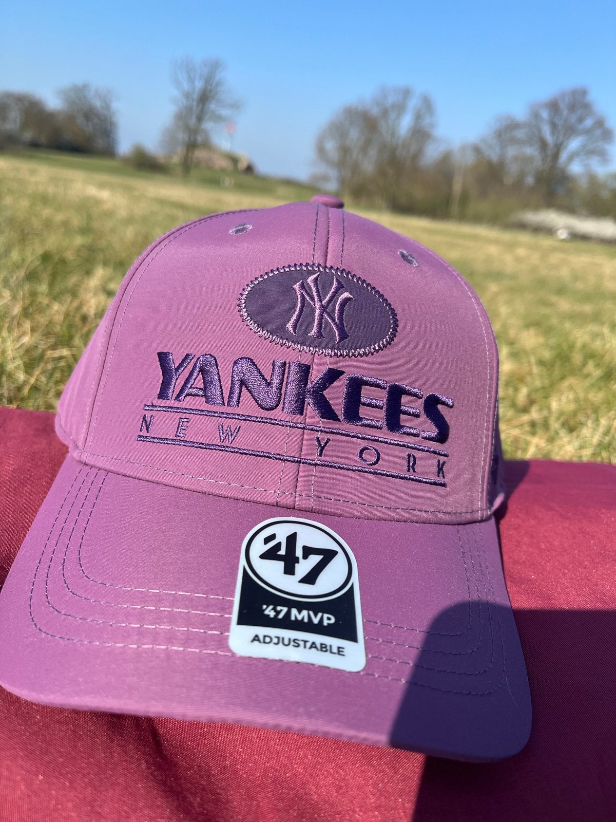 Nieuwe NY Yankees Pet - Universele Maat, Kleding | Dames, Ophalen of Verzenden, Nieuw, One size fits all, Pet