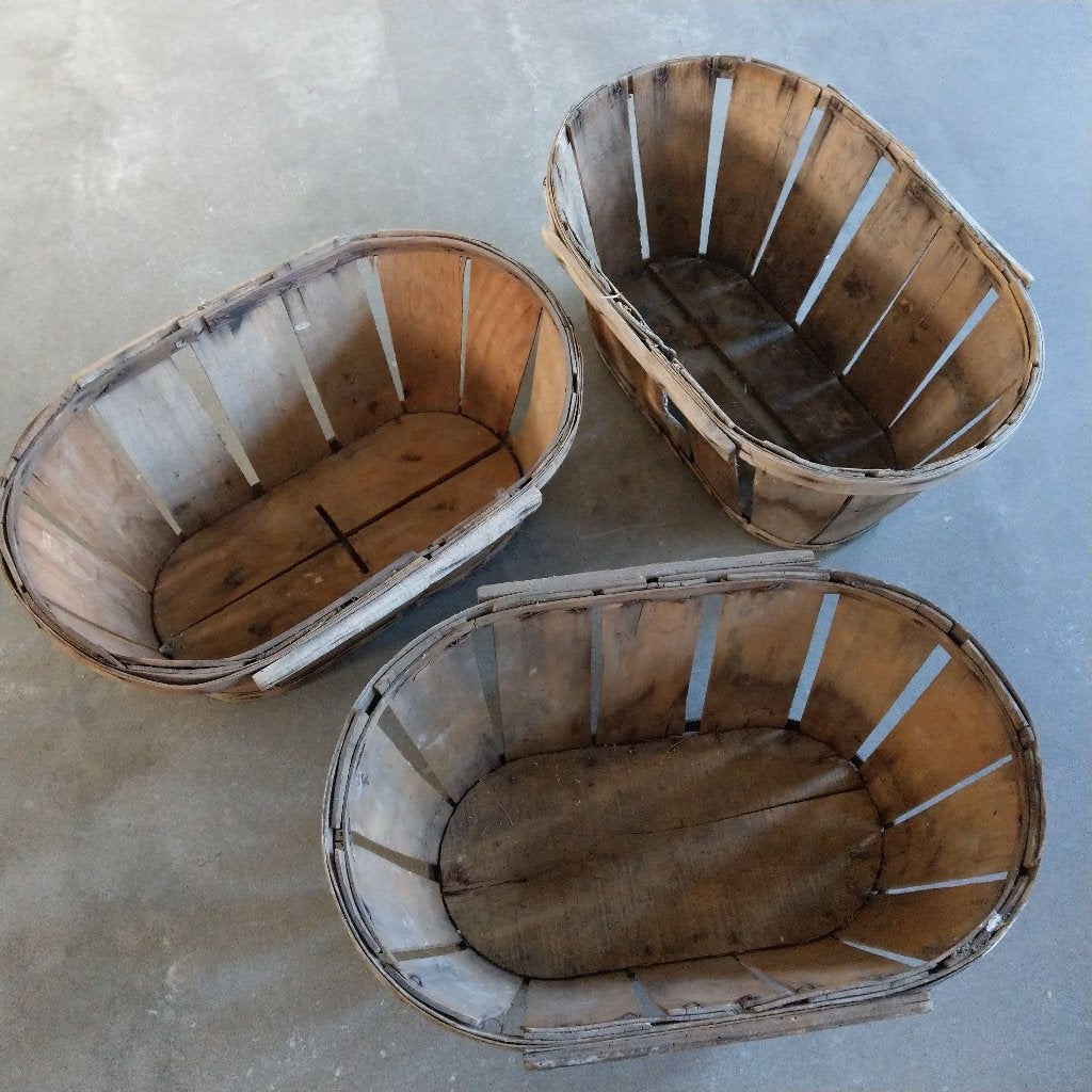 3x Franse fruitmand Mussy Brevette, Ophalen, Gebruikt, Mand, Ovaal