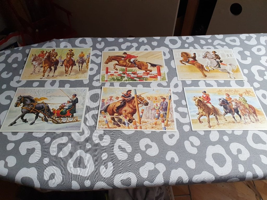 6 Paarden ansichtkaarten 2,50 euro, Hobby en Vrije tijd, Ophalen of Verzenden, Gebruikt, Dieren, Blanco kaart of Basiskaart