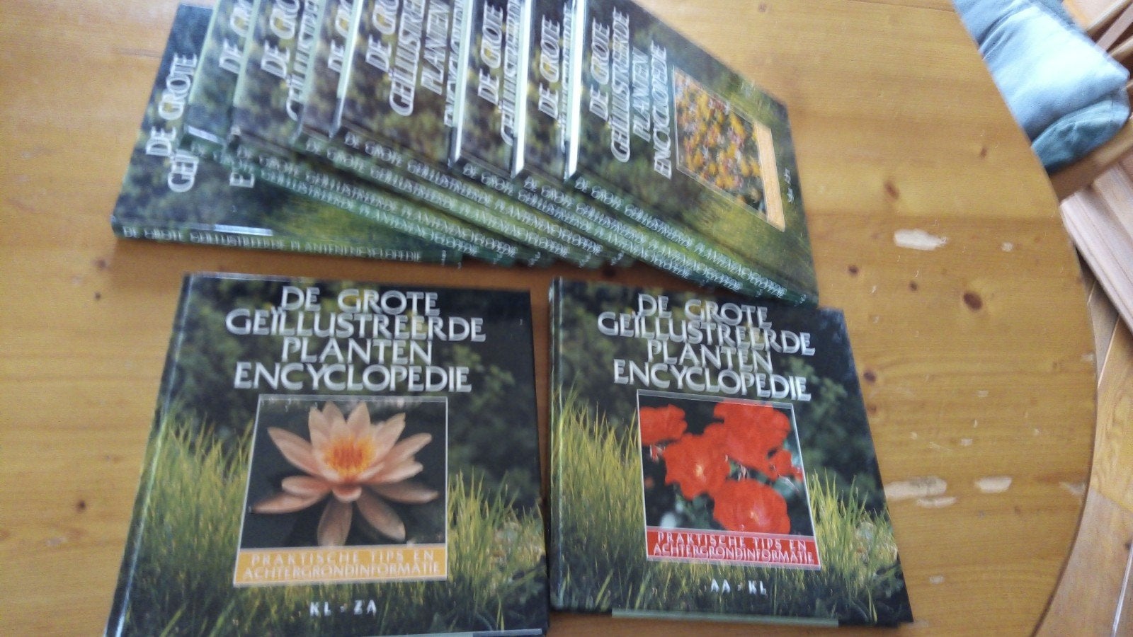 De Grote Geïllustreerde Planten Encyclopedie - Complete Seri, Ophalen of Verzenden, Zo goed als nieuw, Bloemen en Planten, Complete serie