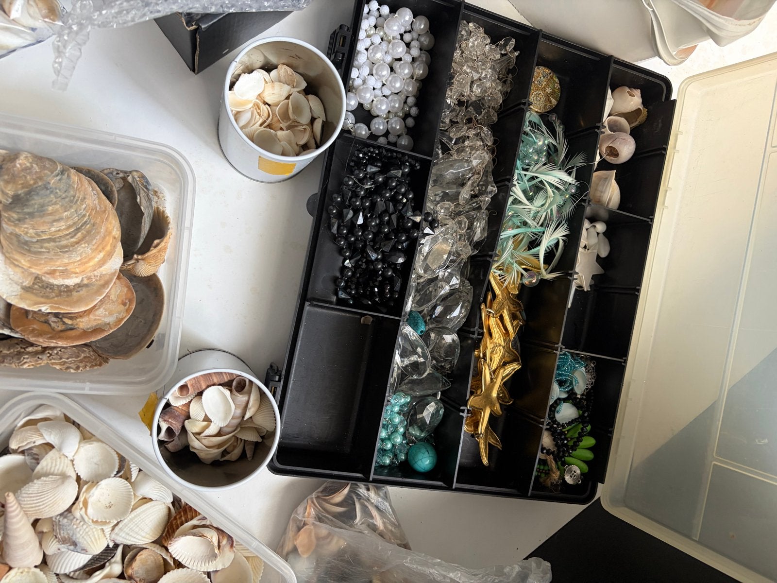 Grote collectie schelpen en knutselmateriaal, Ophalen, Zee en Strand, Gebruikt, Meerkleurig