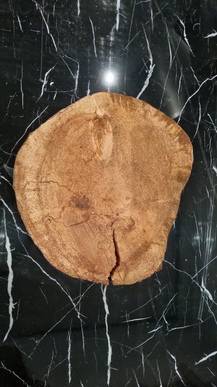 Houten schijf - Diameter 48,5 cm, 5 cm dik, Doe-het-zelf en Verbouw, Hout en Planken, Gebruikt, Overige typen, Ophalen of Verzenden