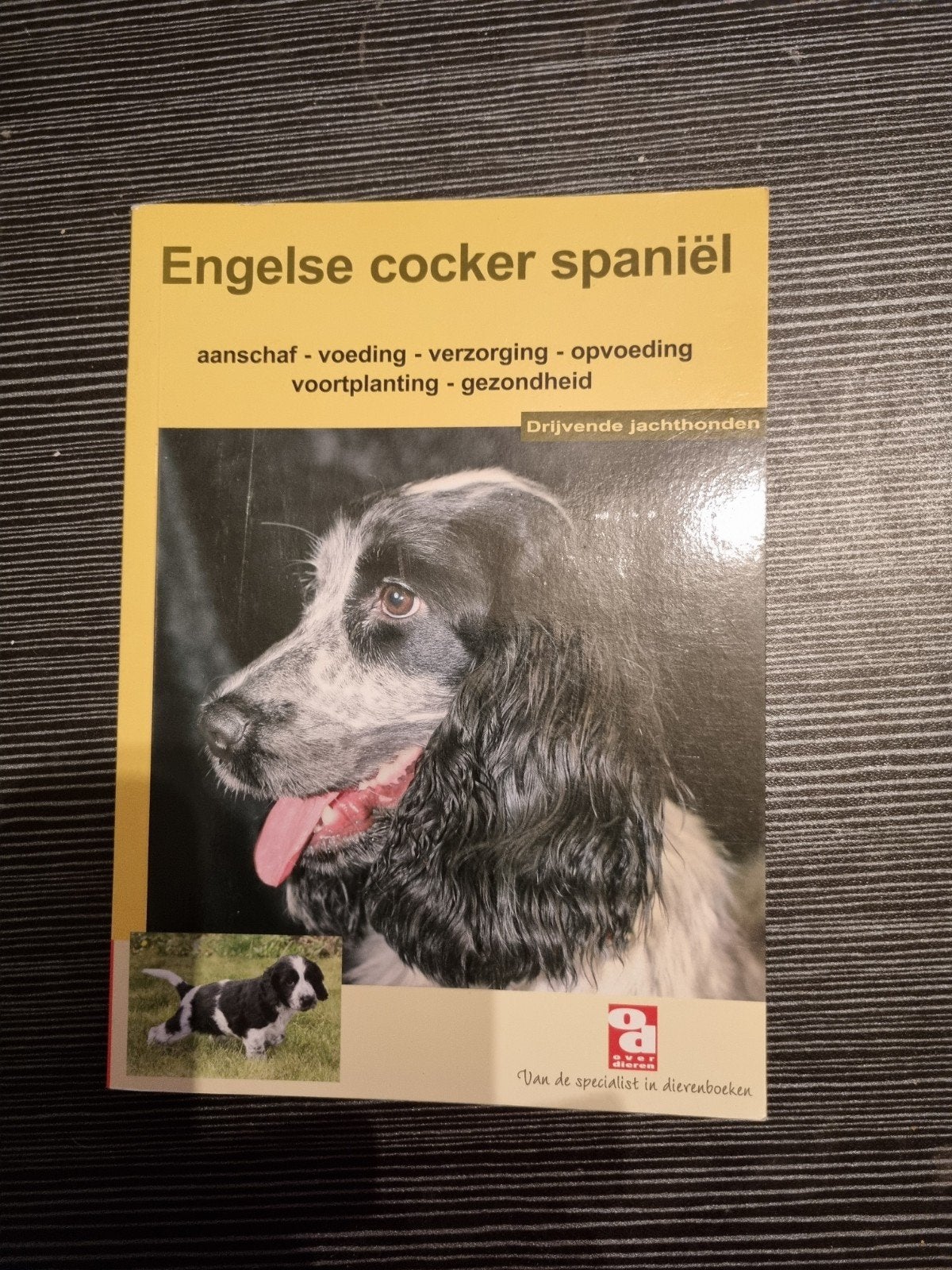 Verschillende rassen, Ophalen, Zo goed als nieuw, Honden