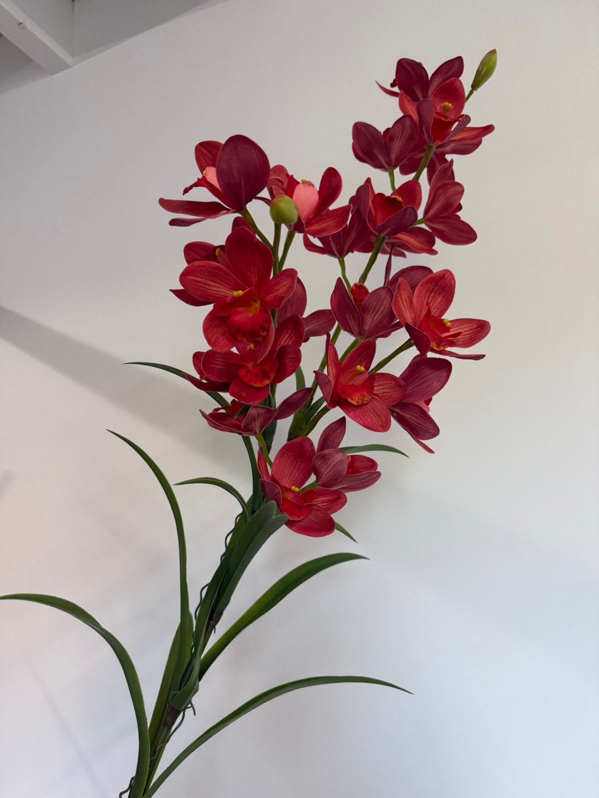 Kunsttak Cymbidium-orchidee rood | 120 cm, Binnen, Nieuw, Ophalen of Verzenden, Onderhoudsvrij