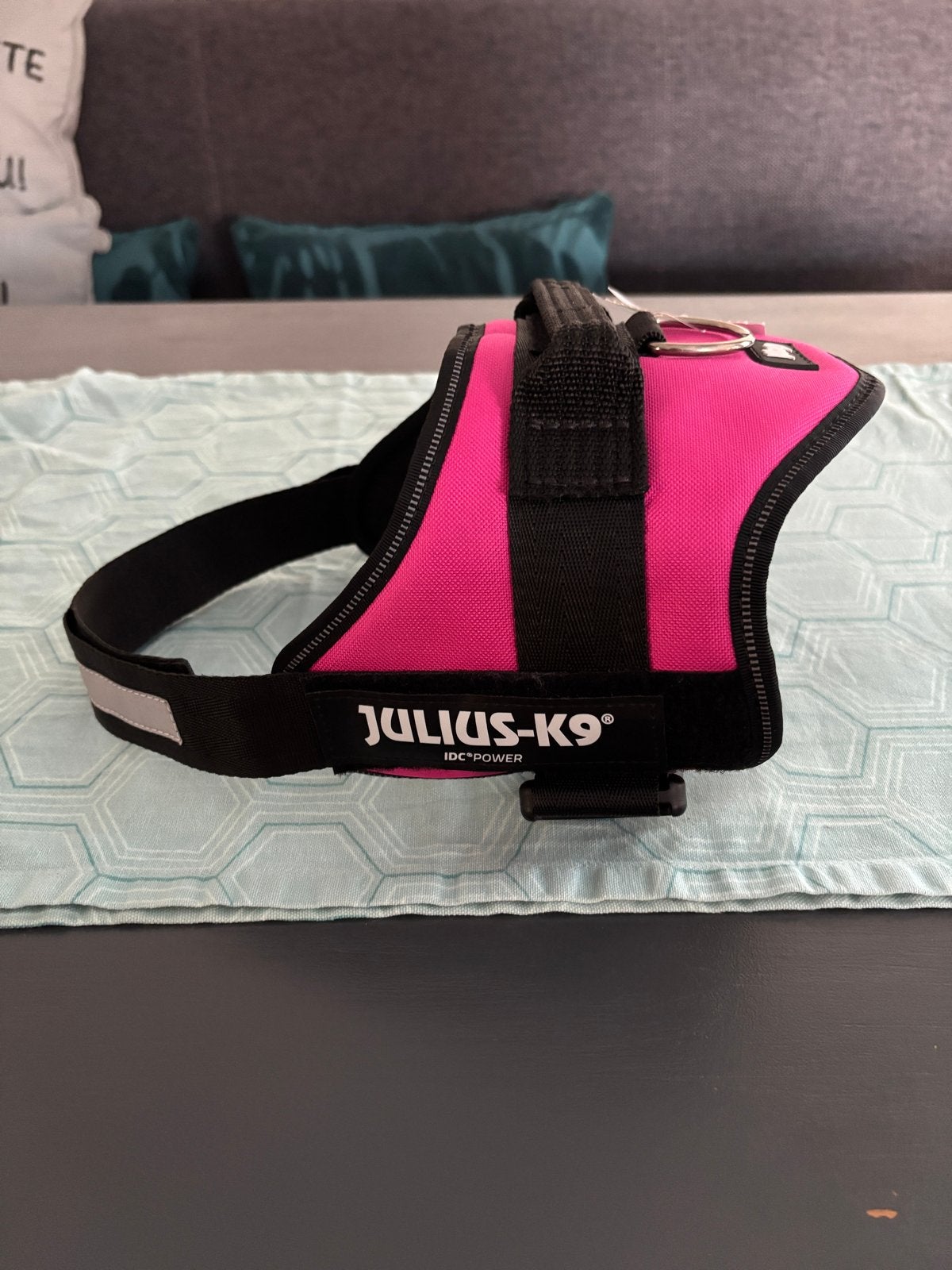 Julius K9 tuigje hond maat M/0, Ophalen of Verzenden, Nieuw