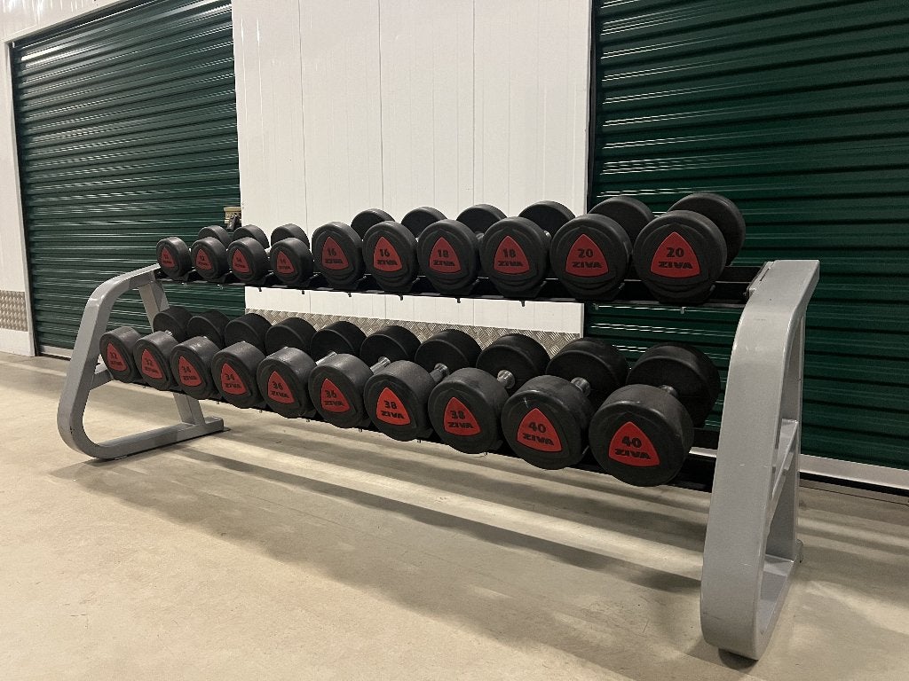 Ziva Urethane Dumbbellset 10 t/m 50kg + 2x rack, Ophalen, Zo goed als nieuw, Rug, Dumbbell
