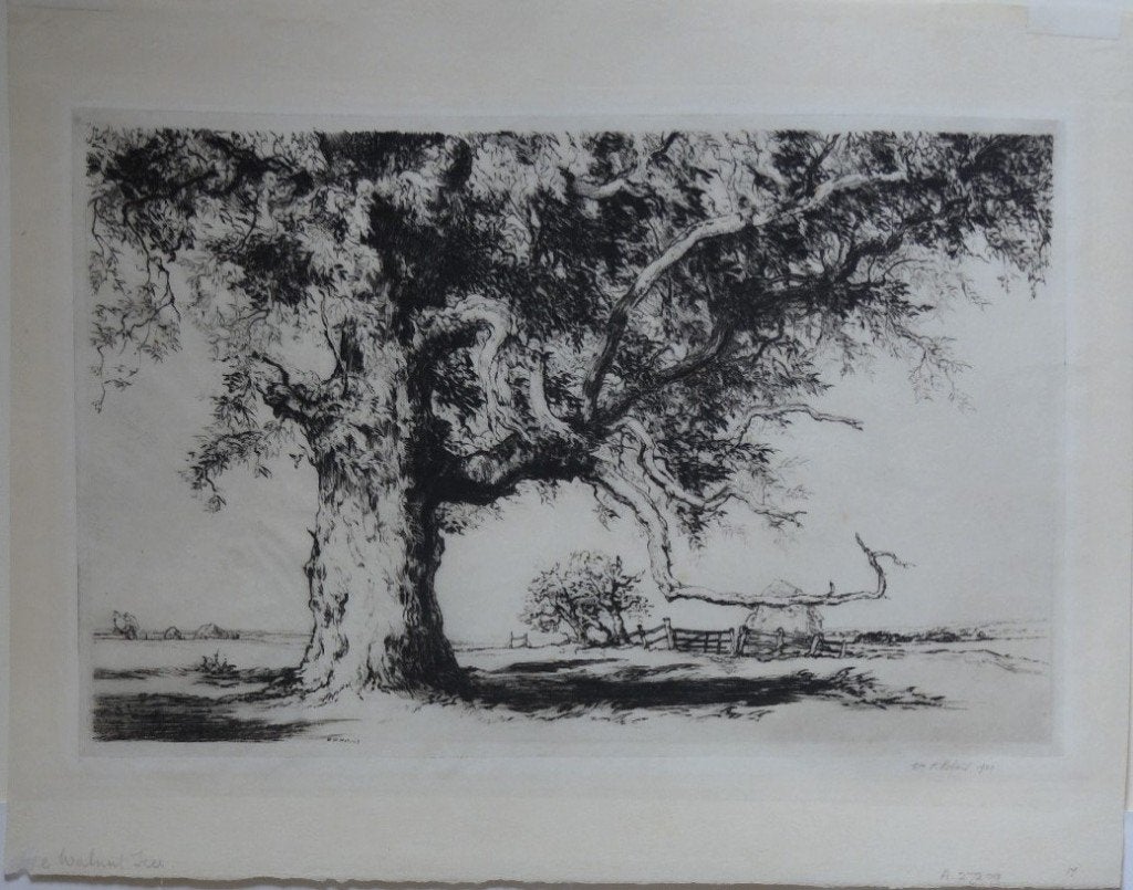 William Palmer Robins droge naald "The Walnut Tree", 1920, Ophalen, Ets, Gesigneerd, Landschap