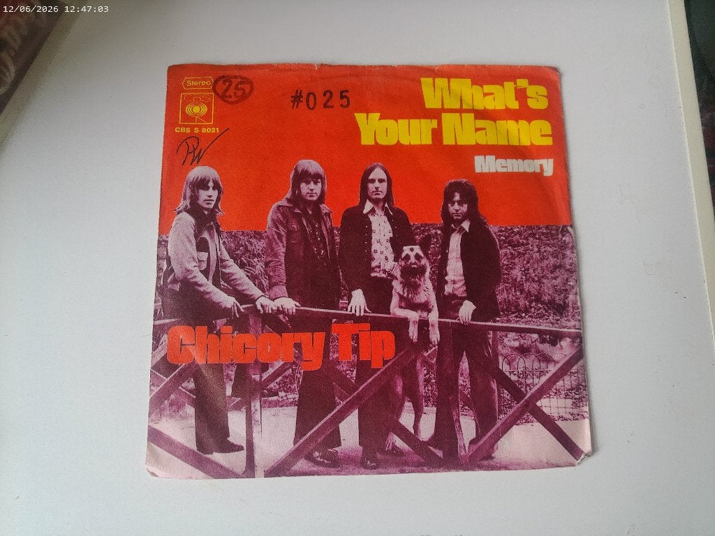 Chicory Tip - What's your name / Memory, Fotohoes, Ophalen of Verzenden, Gebruikt, Rock en Metal