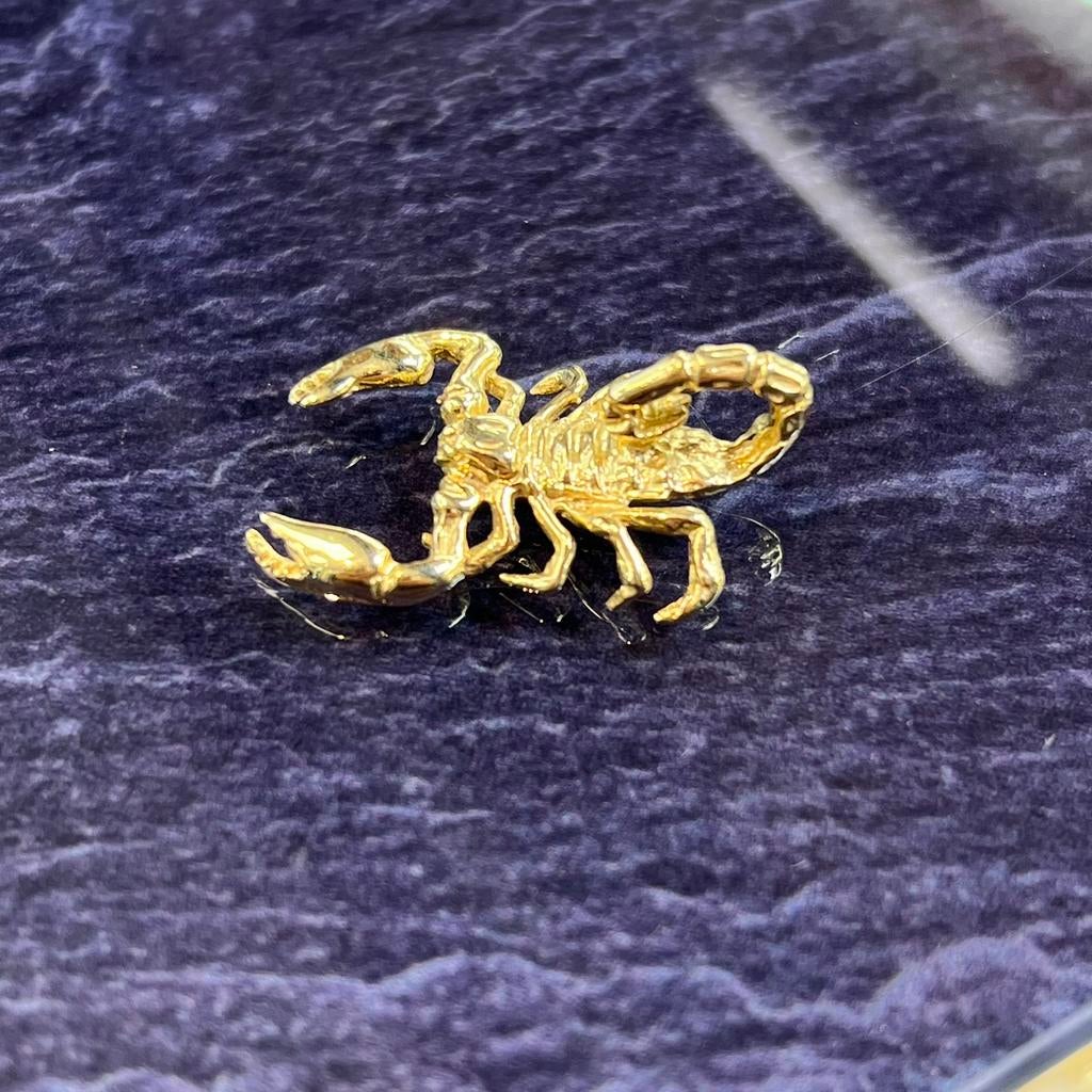 14 karaat gouden schorpioen kettinghanger hanger nieuw, Ophalen of Verzenden, Nieuw, Goud, Kruis of Symbool