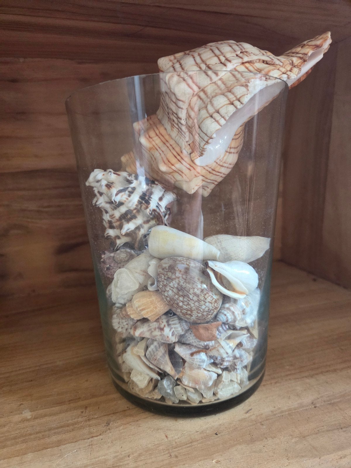Decoratieve glazen vaas met schelpen, Ophalen of Verzenden, Schelp(en)