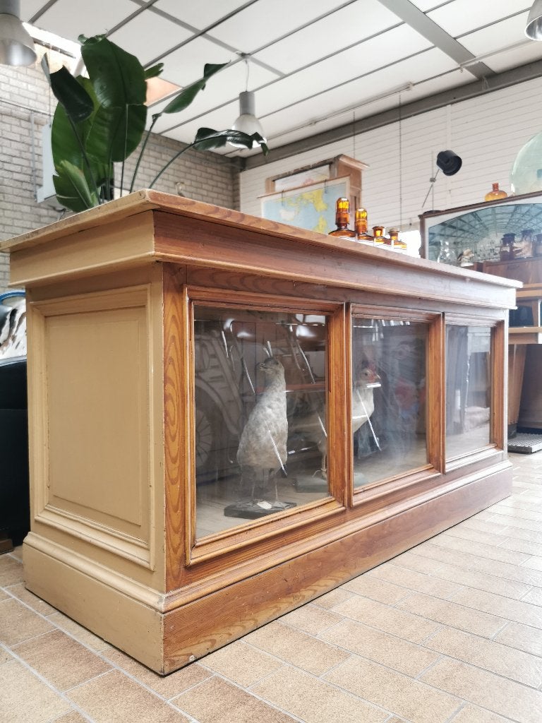 Oude toonbank/vitrine, Ophalen, Gebruikt, 50 tot 100 cm, Minder dan 100 cm
