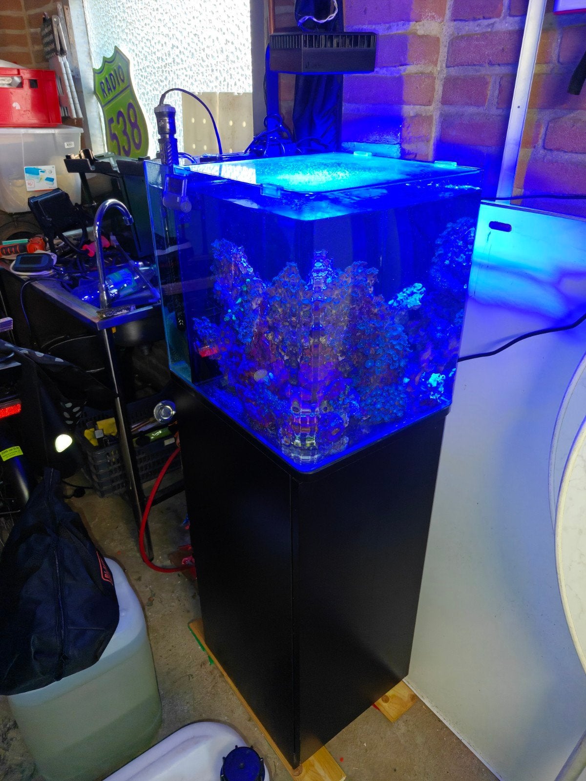 nano zee aquarium te koop, Dieren en Toebehoren, Vissen | Aquaria en Toebehoren, Ophalen, Red Sea, Gevuld zeewateraquarium, Zo goed als nieuw