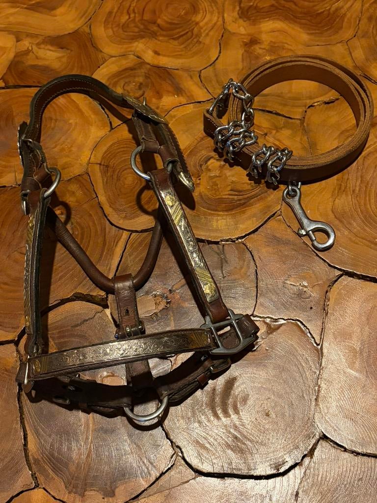 Chique veulen/yearling  showhalster., Ophalen of Verzenden, Zo goed als nieuw, Western