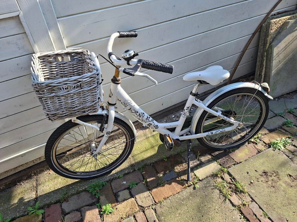 Kinderfiets 20 inch, Fietsen en Brommers, Fietsen | Dames | Omafietsen, Minder dan 47 cm, Ophalen, Gebruikt