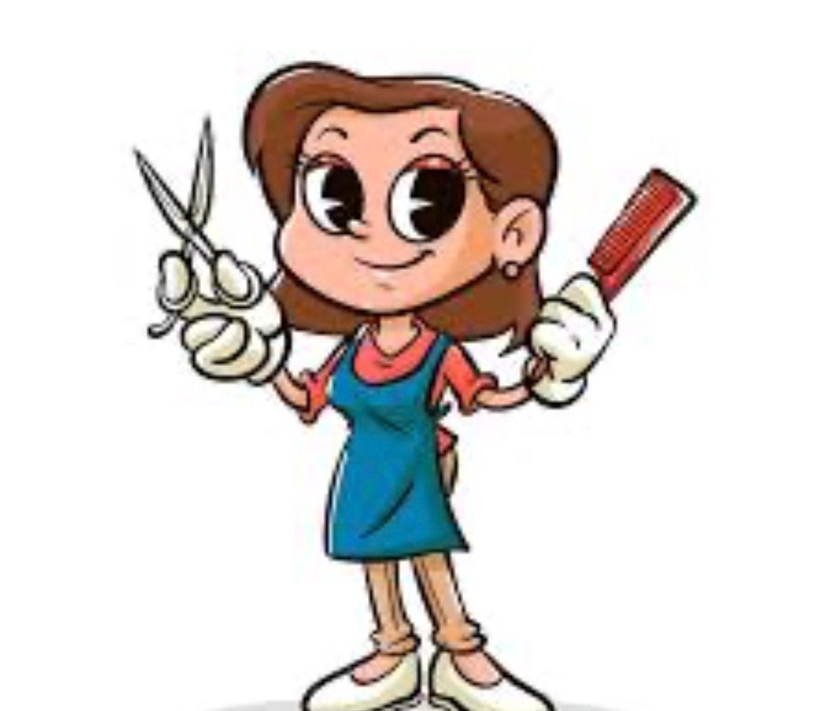 Thuiskapper Gezocht!, Ophalen, Nieuw, Overige typen