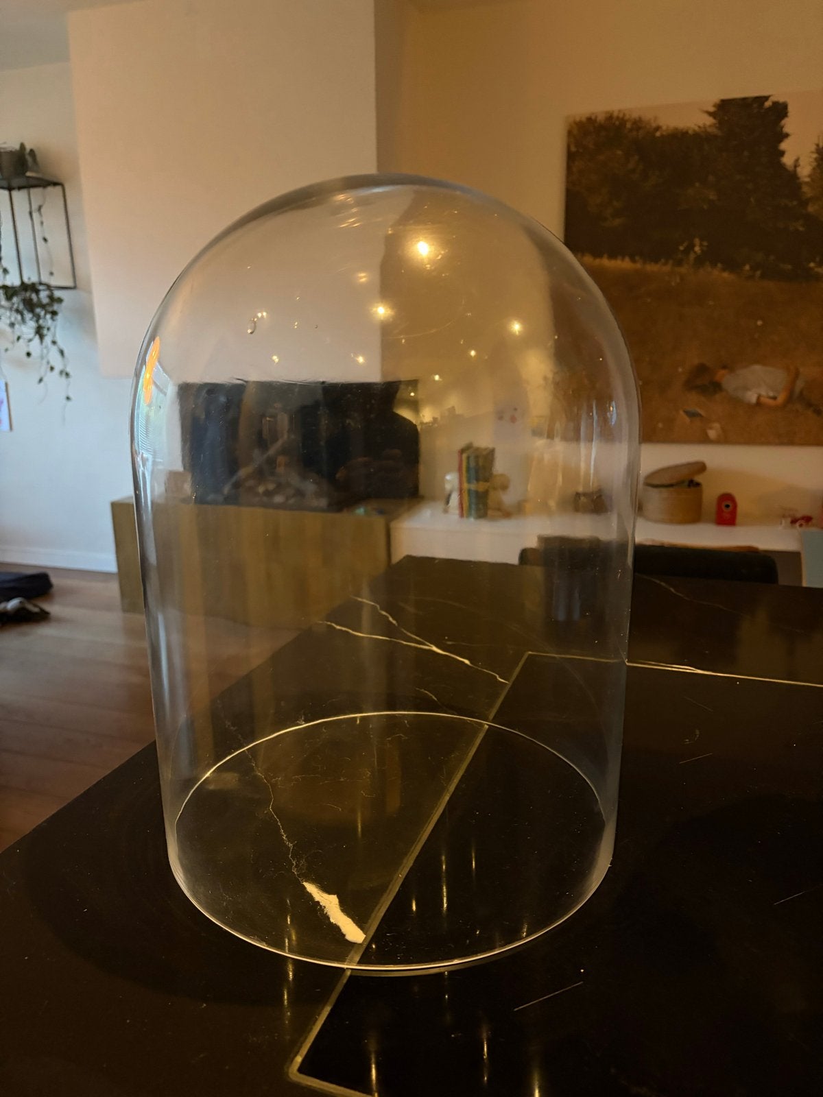 Grote glazen stolp - Perfect voor decoratie, Glas, Ophalen, Zo goed als nieuw, 28 cm
