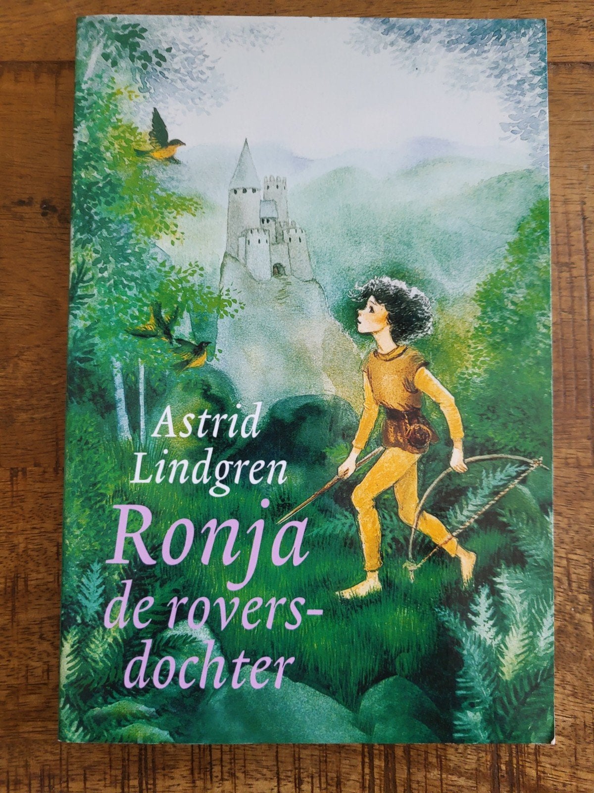 Astrid Lindgren - Ronja de roversdochter, Boeken, Kinderboeken | Jeugd | 10 tot 12 jaar, Ophalen of Verzenden, Zo goed als nieuw