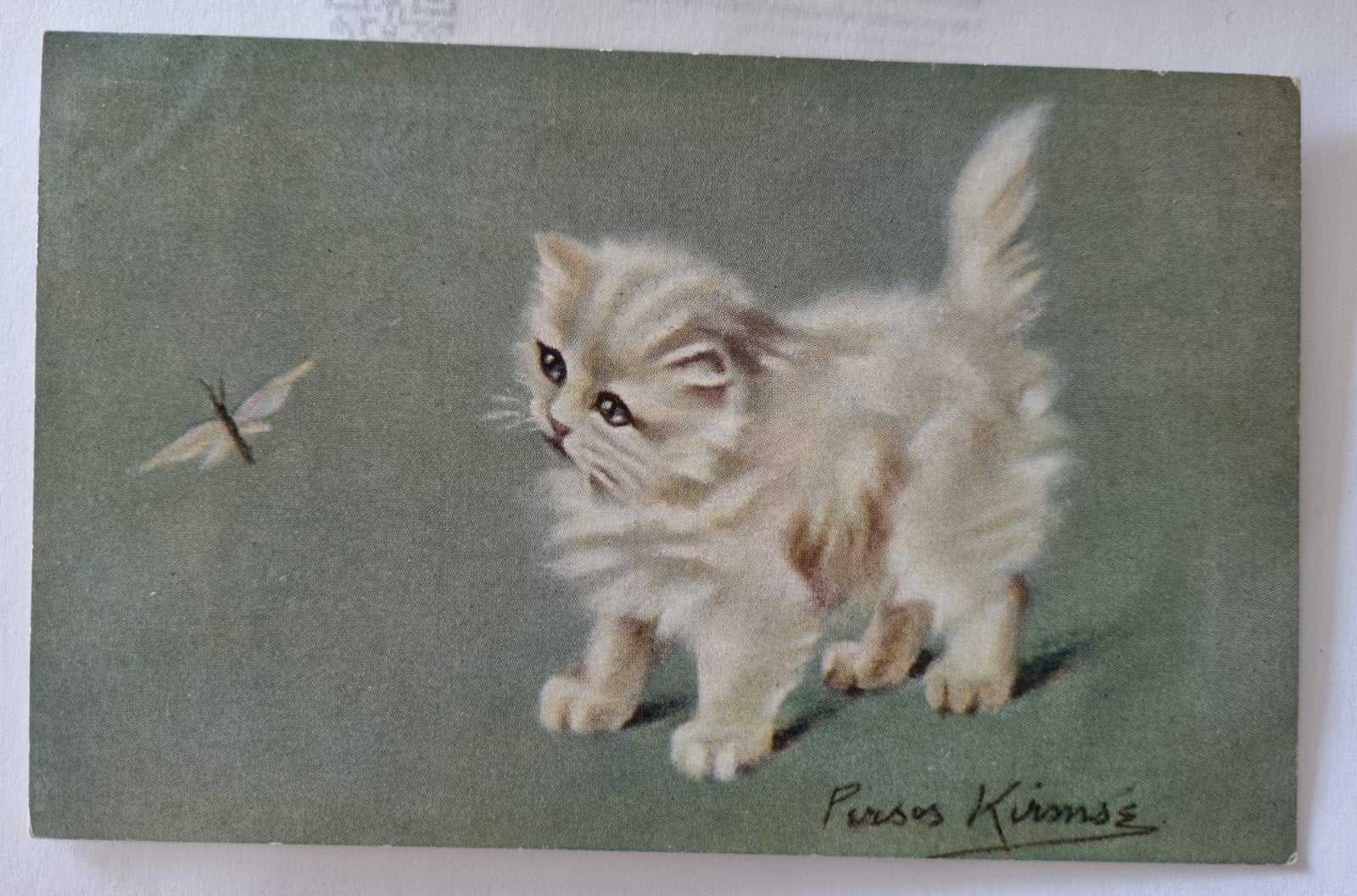 1058.Ansichtkaart: Poesje met Vlinder - Raphael Tuck & So, Ophalen of Verzenden, 1920 tot 1940, Gelopen, Noord-Holland