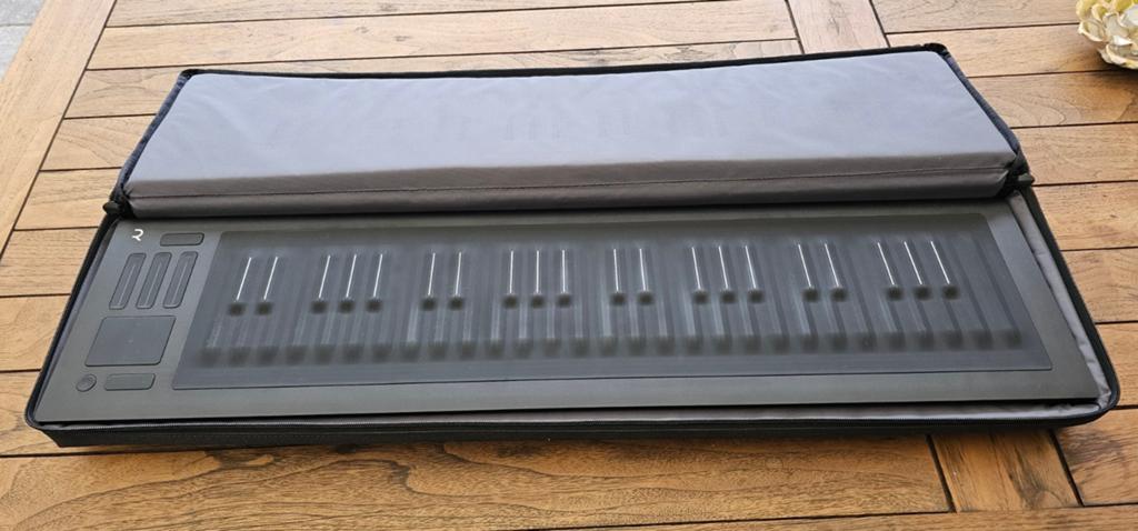 ROLI Seaboard RISE 49 MPE MIDI Controller met hoes, Muziek en Instrumenten, Ophalen of Verzenden, Zo goed als nieuw, Midi-aansluiting