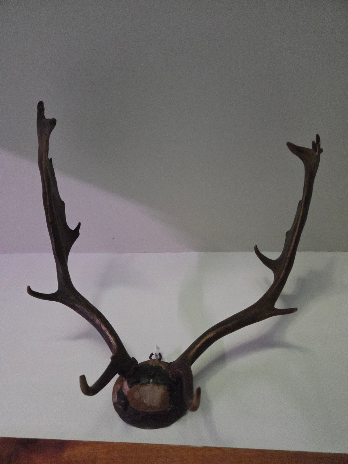 Herten Gewei op Schild - Decoratieve Wanddecoratie, Ophalen