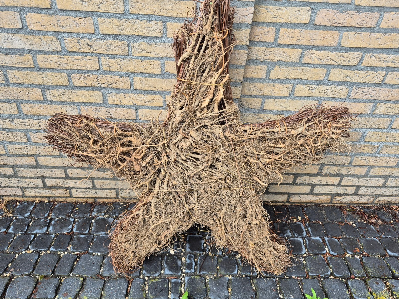 Grote houten ster, Ophalen