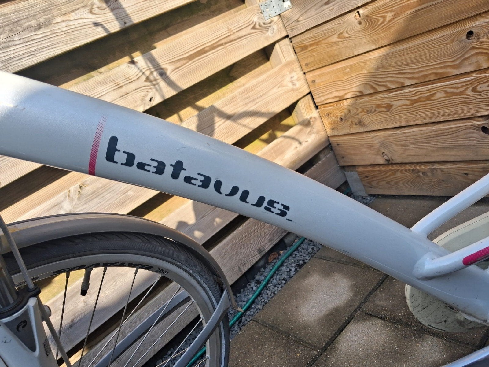 Foto 3 van Damesfiets Batavus Mambo