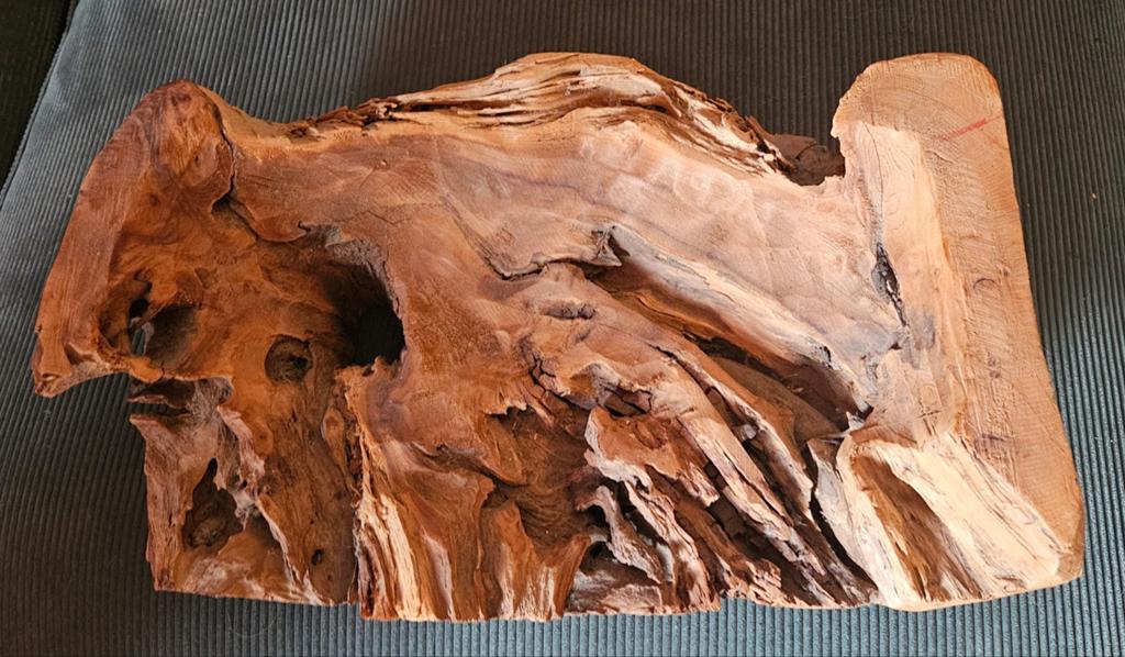 Decoratief stuk drijfhout, Ophalen of Verzenden
