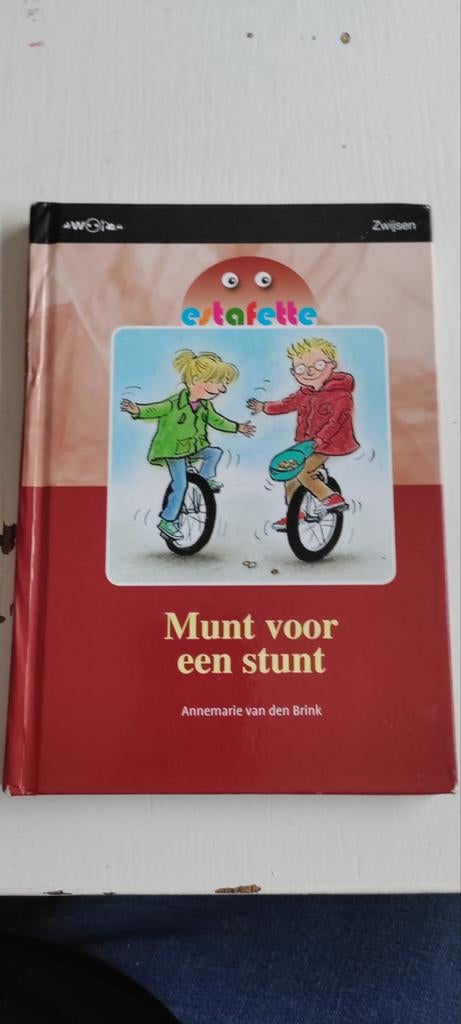 Munt voor een stunt - Annemarie van den Brink, Ophalen of Verzenden